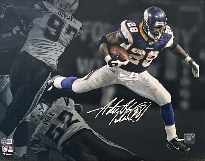 Adrian Peterson Autographed Minnesota Vikings 16x20 Photo – Beckett Authenticated-Powers Sports Memorabilia