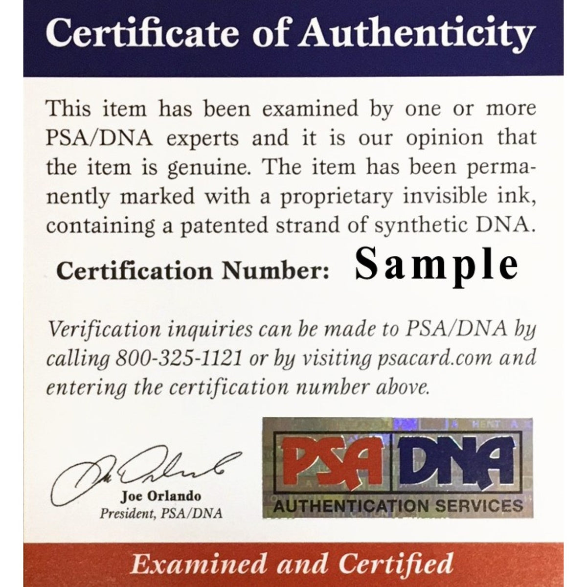 Ernie Banks Autographed Chicago Cubs Signed National League Baseball With UV Display Case PSA COA AN81203