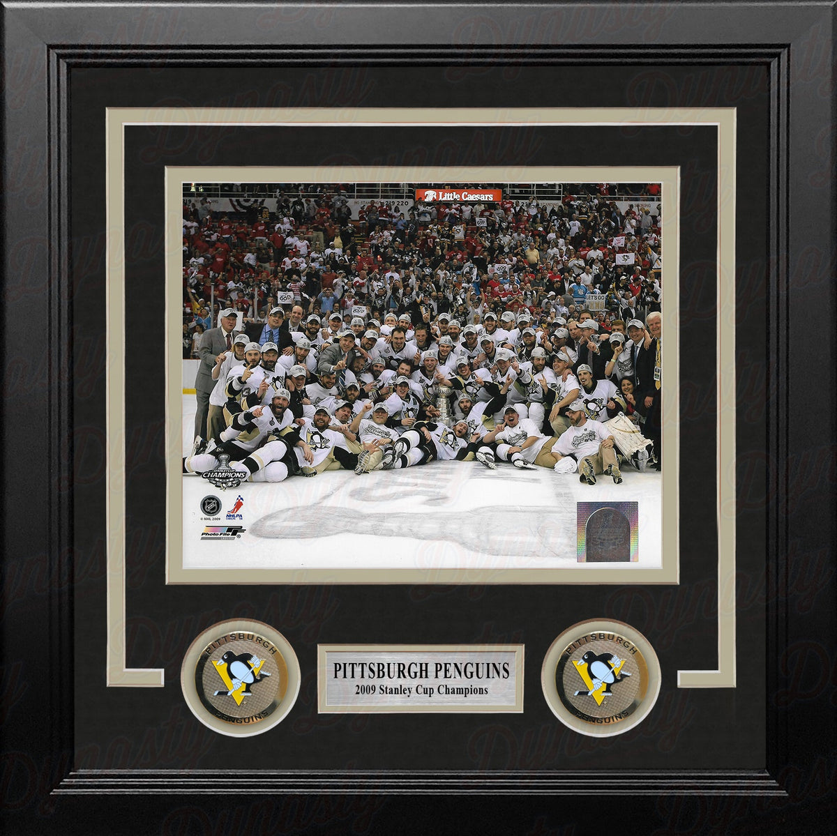 Pittsburgh Penguins 2009 Stanley Cup Champions Celebration 8" x 10" Framed Hockey Display Photo-Powers Sports Memorabilia