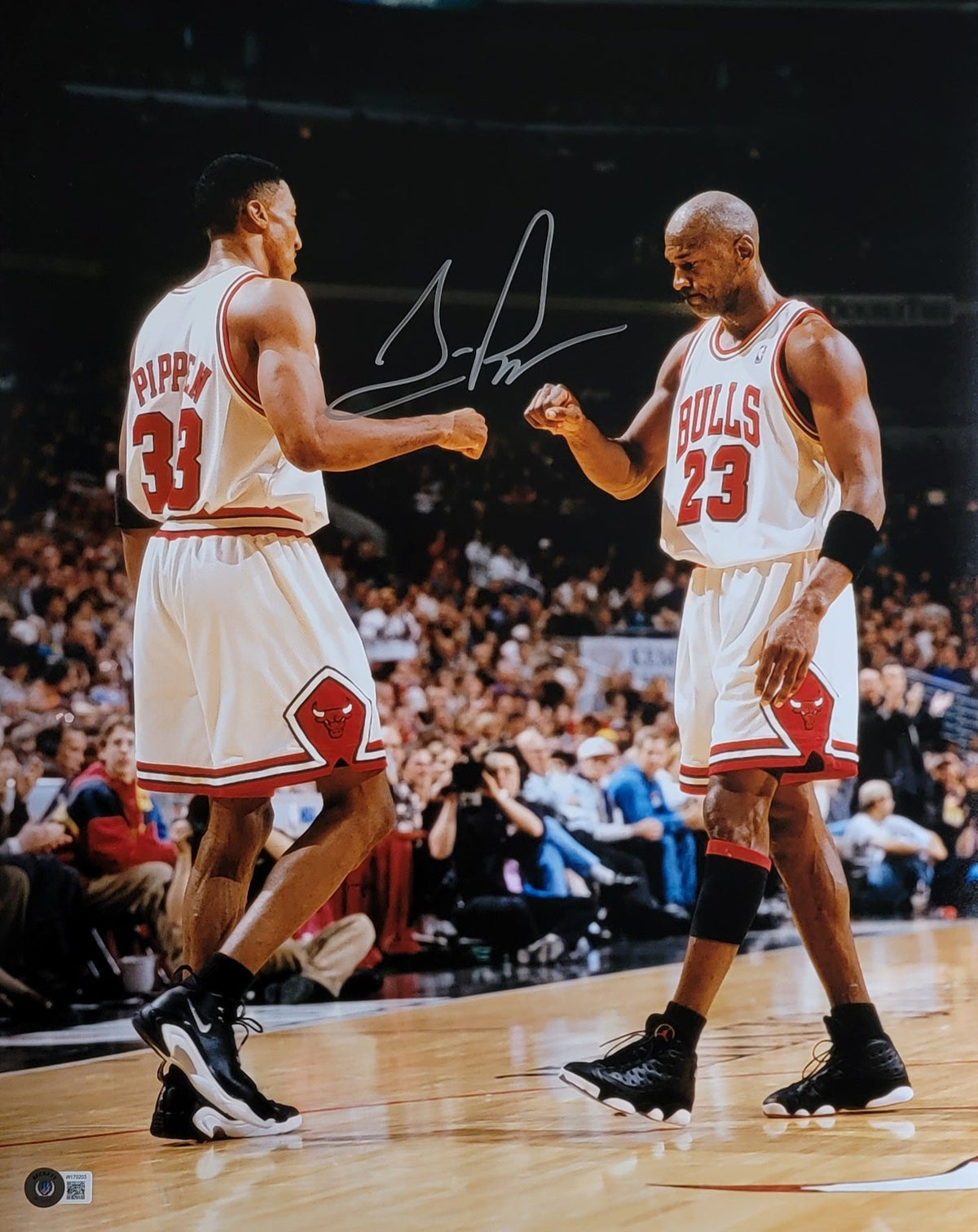 Scottie Pippen Signed Chicago Bulls with Michael Jordan 16X20 Photo - Beckett-Powers Sports Memorabilia