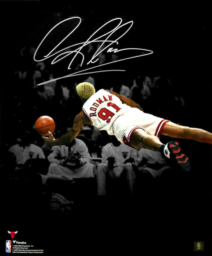 Dennis Rodman Autographed Chicago Bulls Diving Spotlight 16x20 Photo-Powers Sports Memorabilia