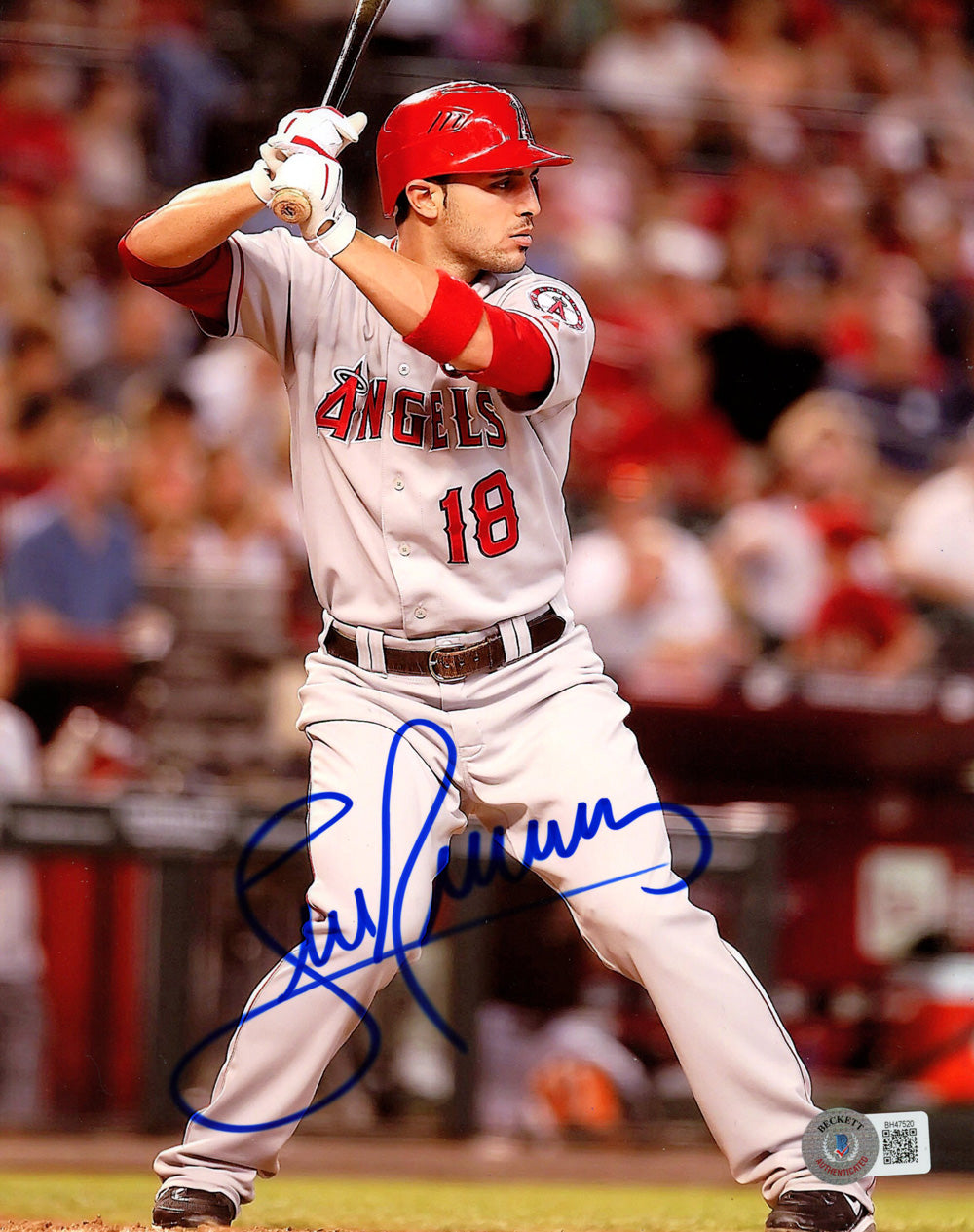 Sean Rodriguez Anaheim Angels Signed 8x10 Photo - Beckett Beckett-Powers Sports Memorabilia