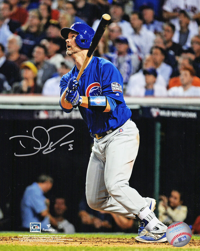 David Ross Autographed Chicago Cubs 2016 WS Game 7 Last Career At Bat HR 8x10 Photo-Powers Sports Memorabilia