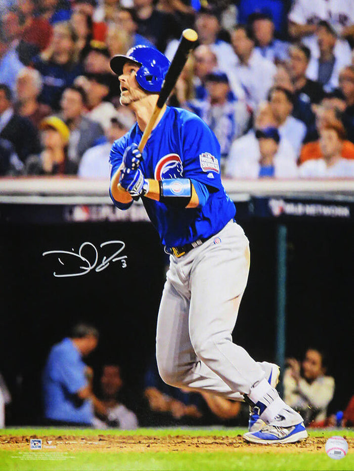David Ross Autographed Chicago Cubs 2016 World Series Gm 7 Last Career At Bat HR 16x20 Photo-Powers Sports Memorabilia