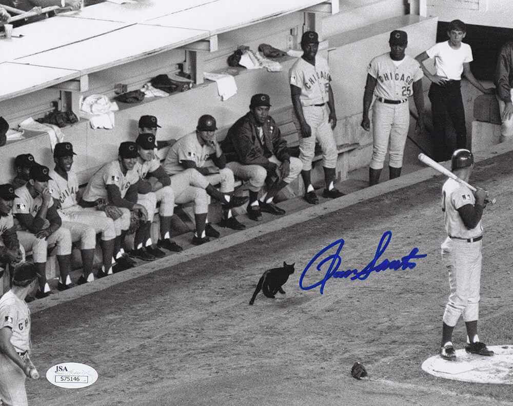 Ron Santo Autographed Chicago Cubs Black Cat On Field Black and White 8x10 Photo JSA Authenticated-Powers Sports Memorabilia