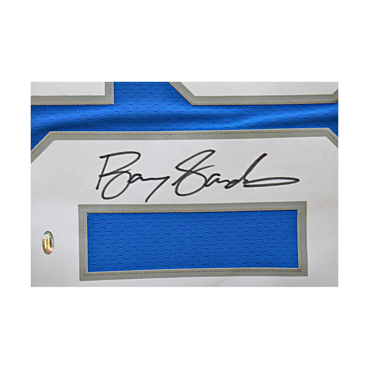 Barry Sanders Detroit Lions Signed Mitchell & Ness 1996 Throwback Legacy Jersey (Schwartz Sports Auth)-Powers Sports Memorabilia