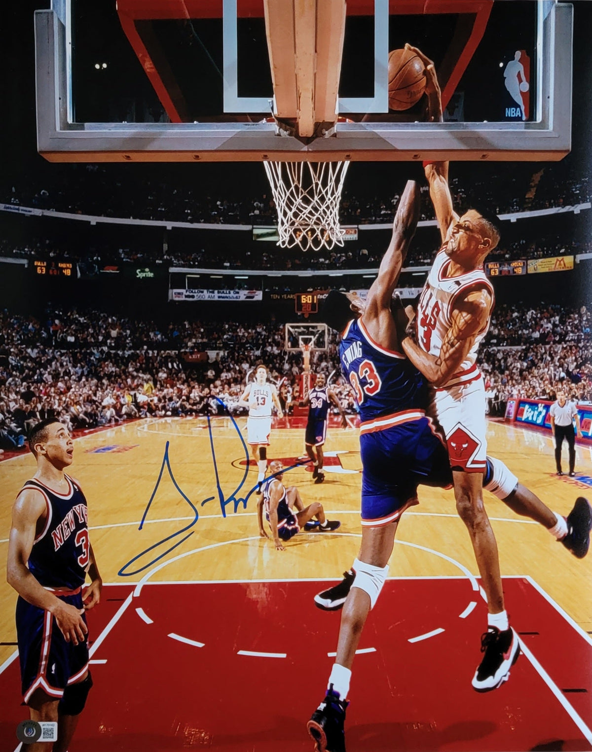 Scottie Pippen Signed Chicago Bulls Slam Dunk 16X20 Photo - Beckett-Powers Sports Memorabilia