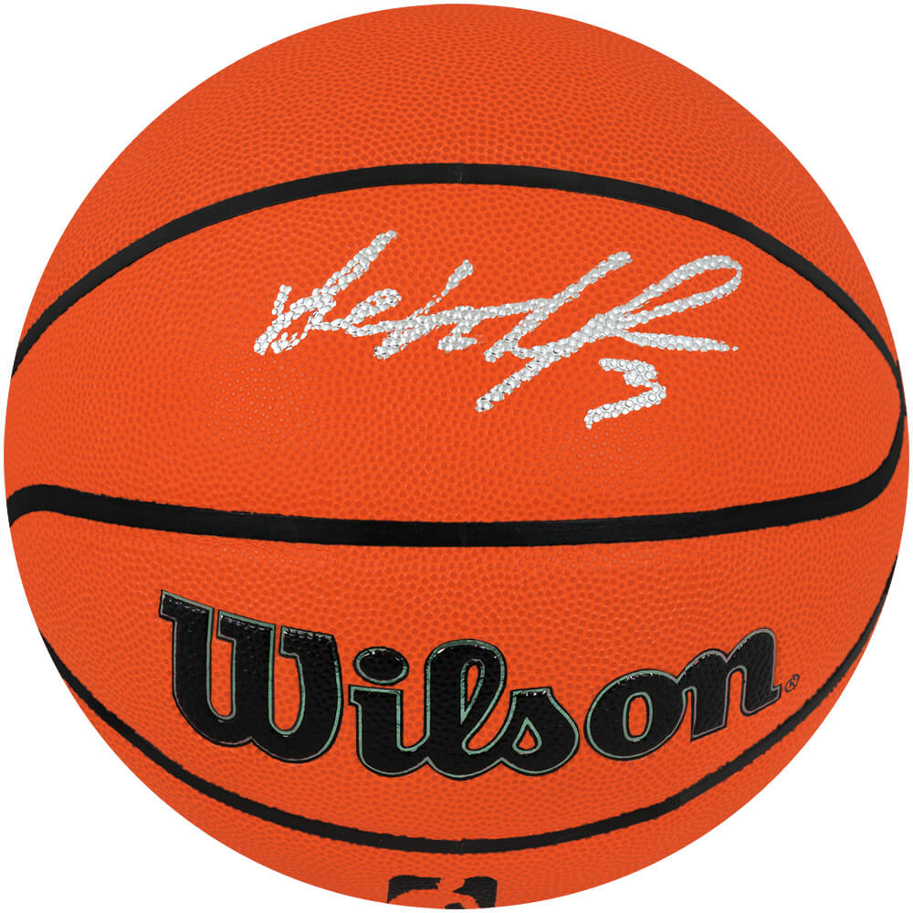 Ben Wallace Autographed Wilson Indoor/Outdoor NBA Basketball-Powers Sports Memorabilia