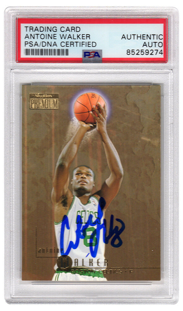 Antoine Walker Boston Celtics Autographed 1996 97 Skybox Premium Rookie-Powers Sports Memorabilia