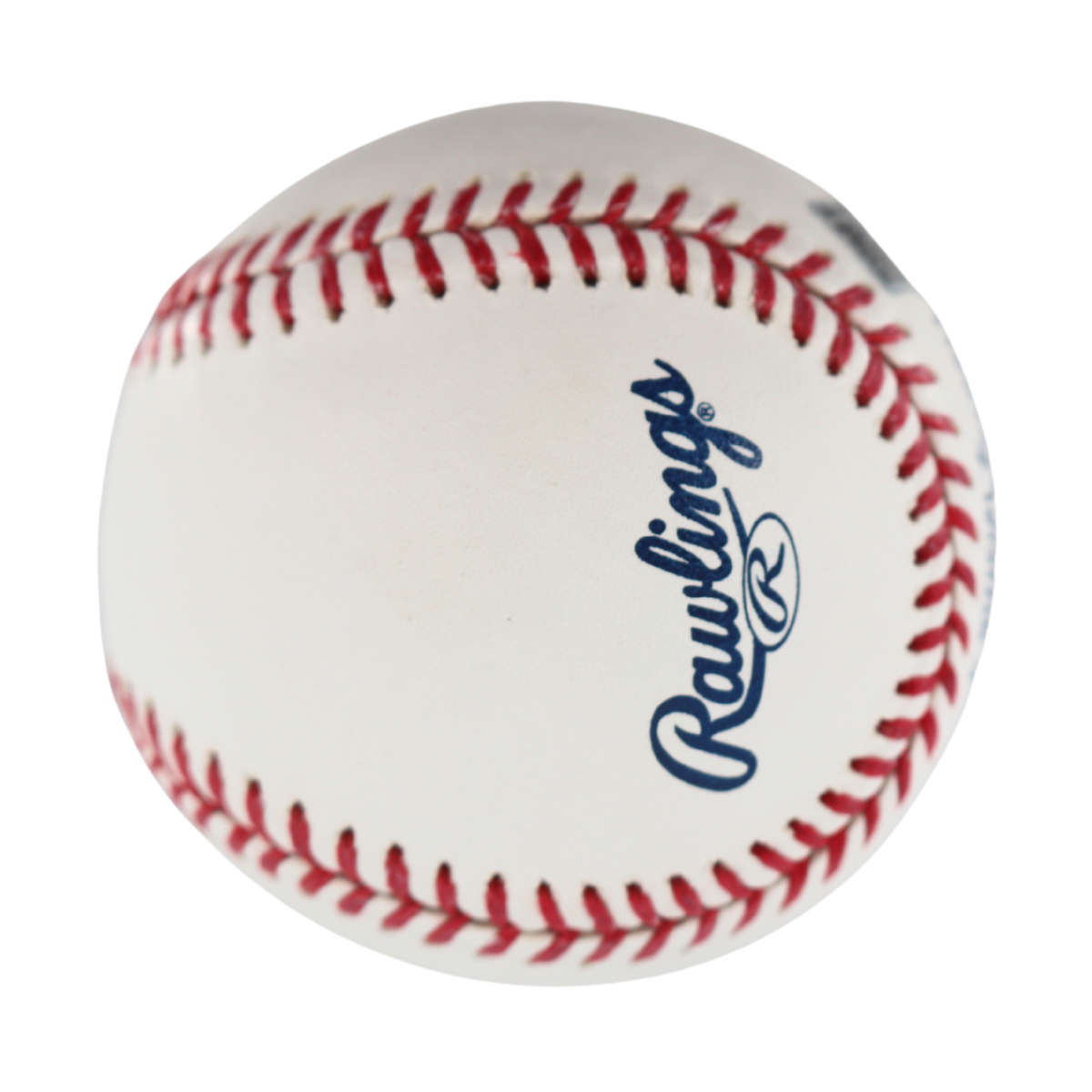 Will Warren New York Yankees Signed OMLB Baseball-Powers Sports Memorabilia