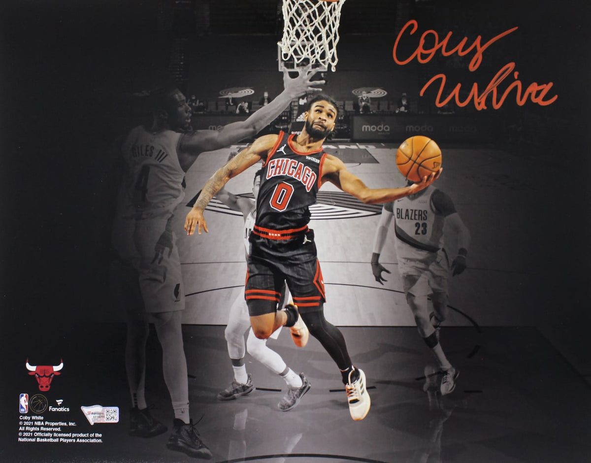 Coby White Chicago Bulls Signed 11x14 Photo - Spotlight Photograph Fanatics-Powers Sports Memorabilia