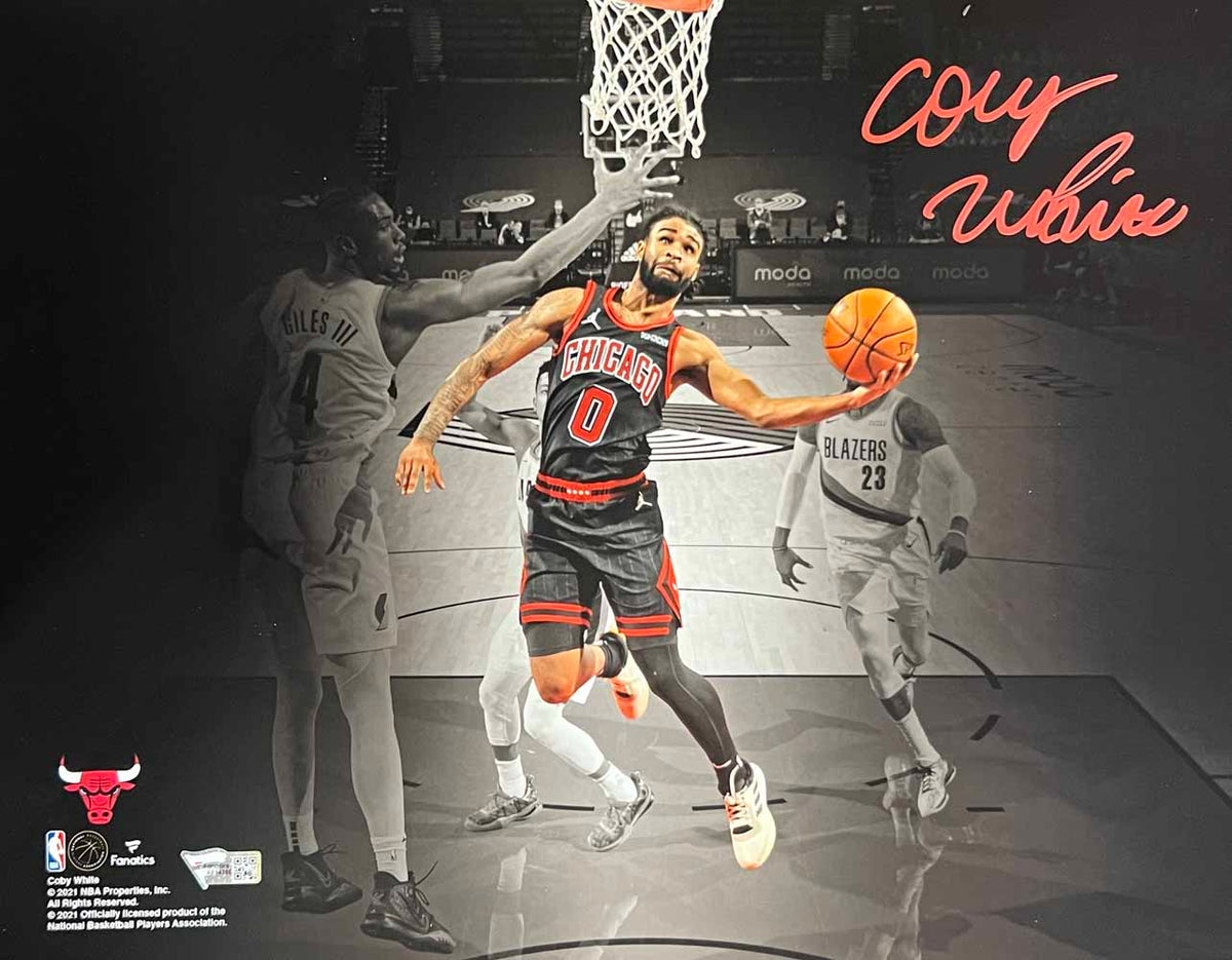 Coby White Chicago Bulls Signed 11x14 Photo - Spotlight Fanatics-Powers Sports Memorabilia