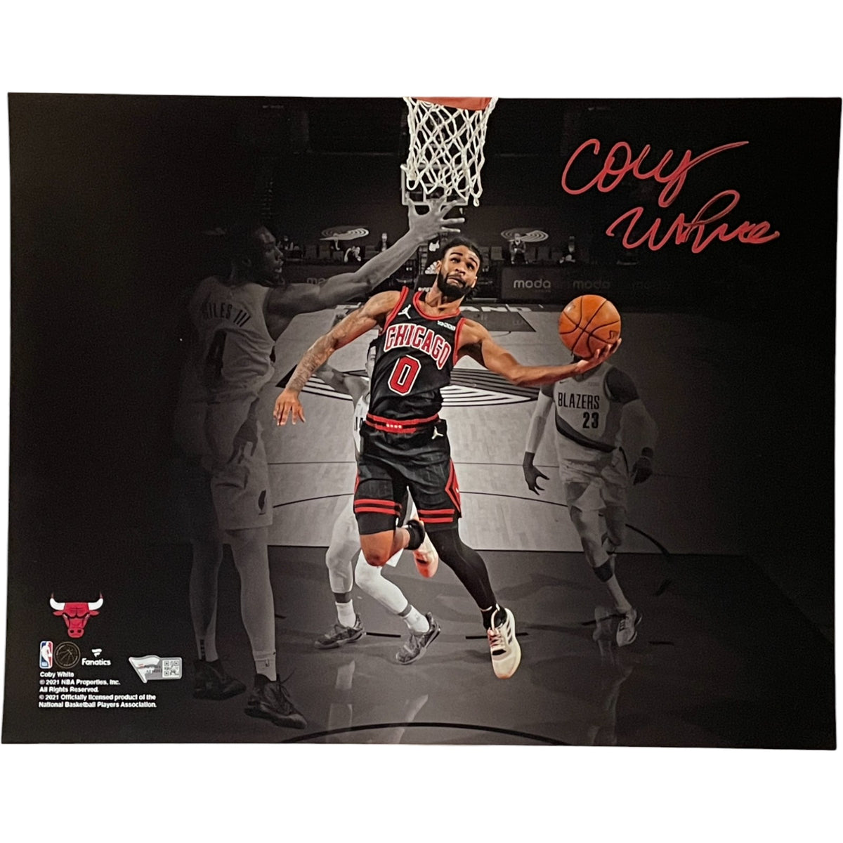 Coby White Chicago Bulls Signed 11x14 Photo - FAN-Powers Sports Memorabilia