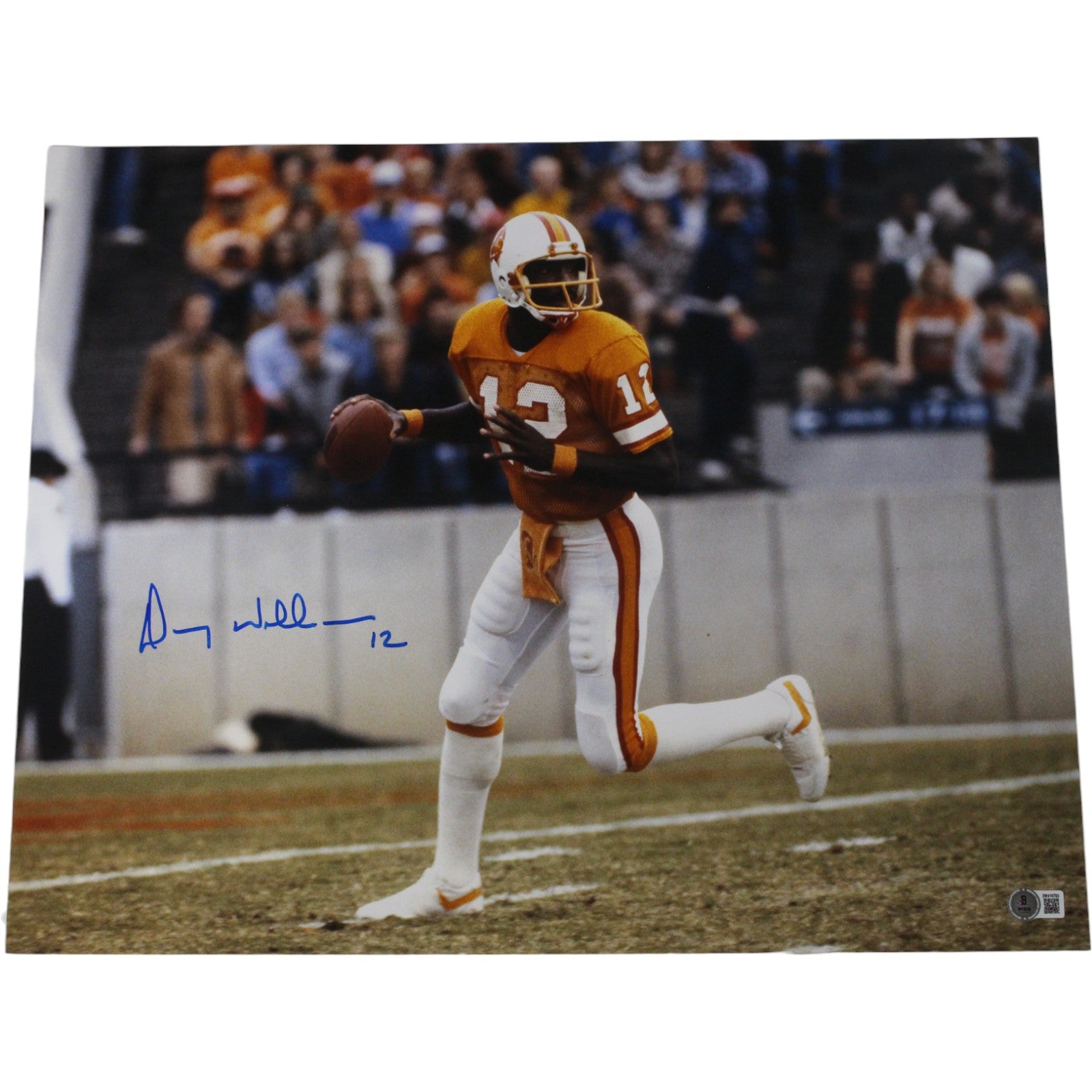 Doug Williams Tampa Bay Buccaneers Signed 16x20 Photo Beckett Witness 49762 Beckett-Powers Sports Memorabilia