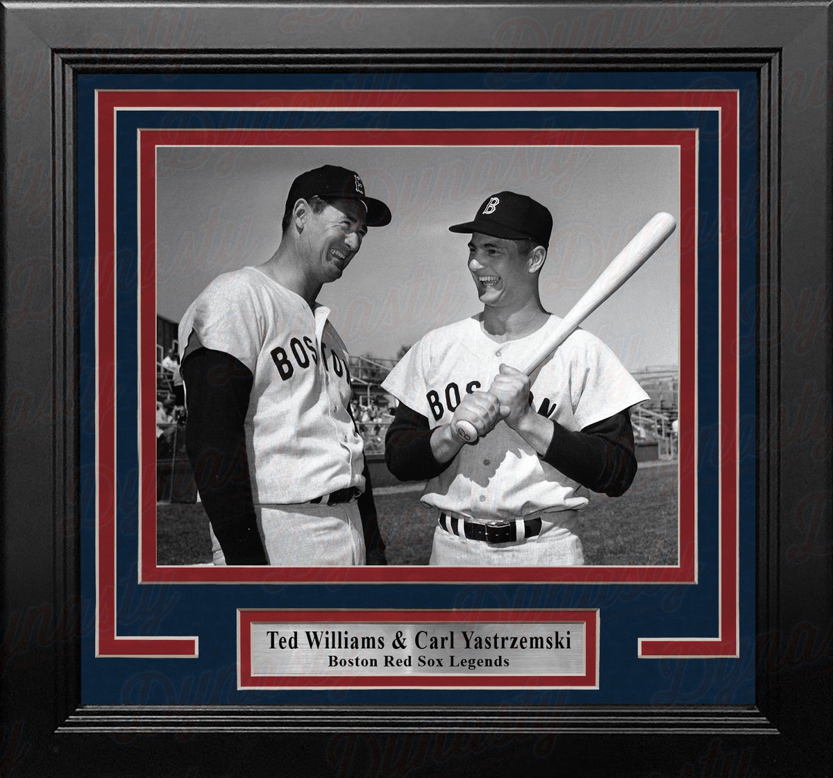 Ted Williams & Carl Yastrzemski Boston Red Sox 8" x 10" Framed Baseball Display Photo-Powers Sports Memorabilia