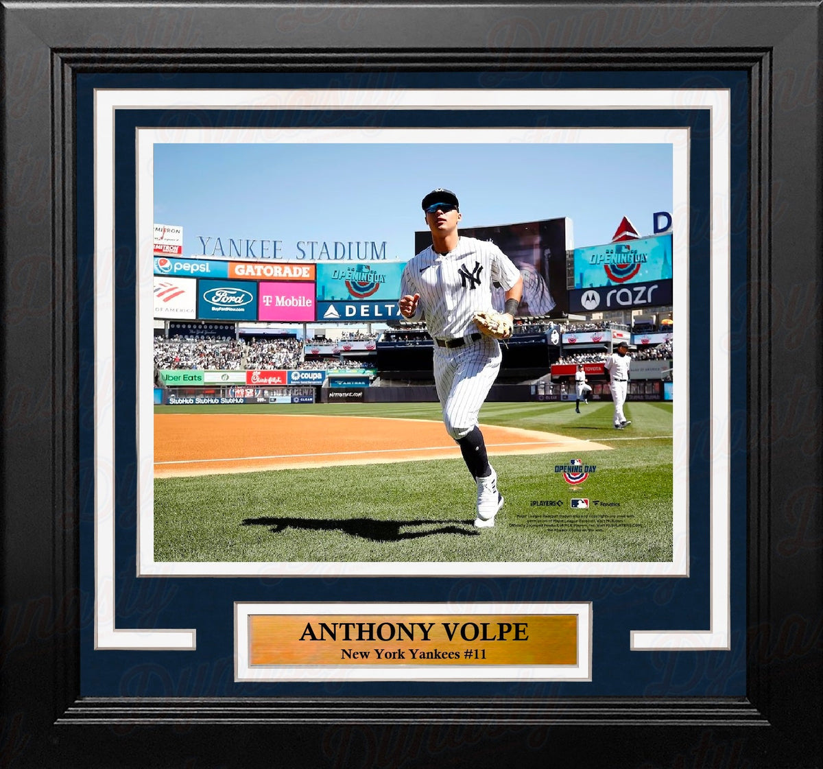 Anthony Volpe Walks Onto the Field New York Yankees 8" x 10" Framed Baseball Display Photo-Powers Sports Memorabilia