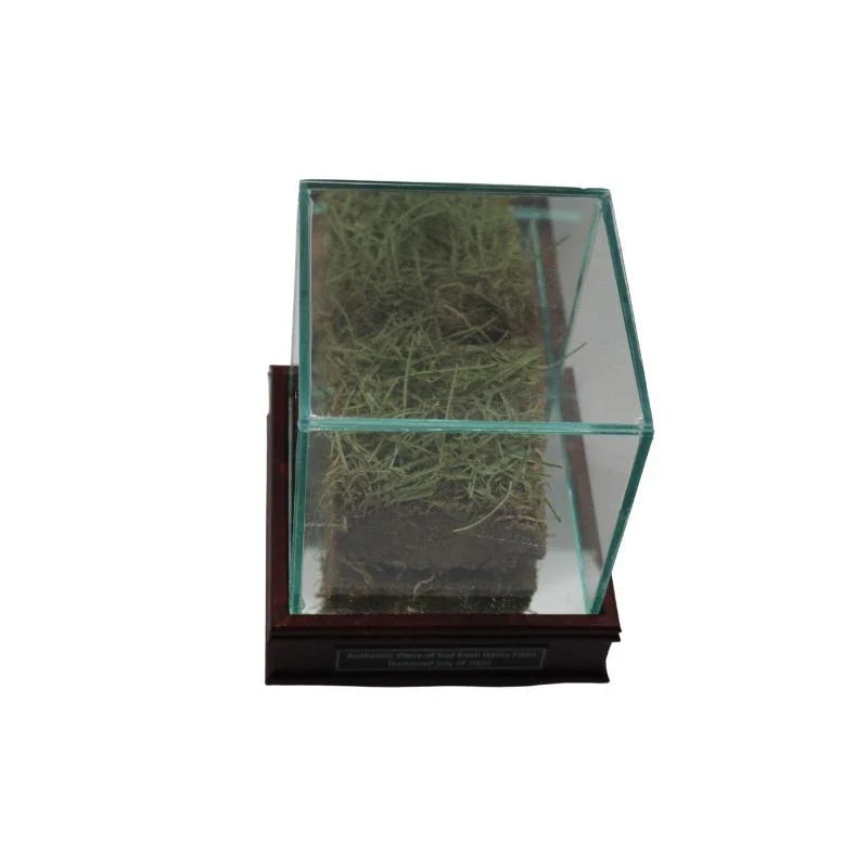 Pittsburgh Steelers Authentic Piece of Freeze Dried Sod from Heinz Field with Display Case-Powers Sports Memorabilia