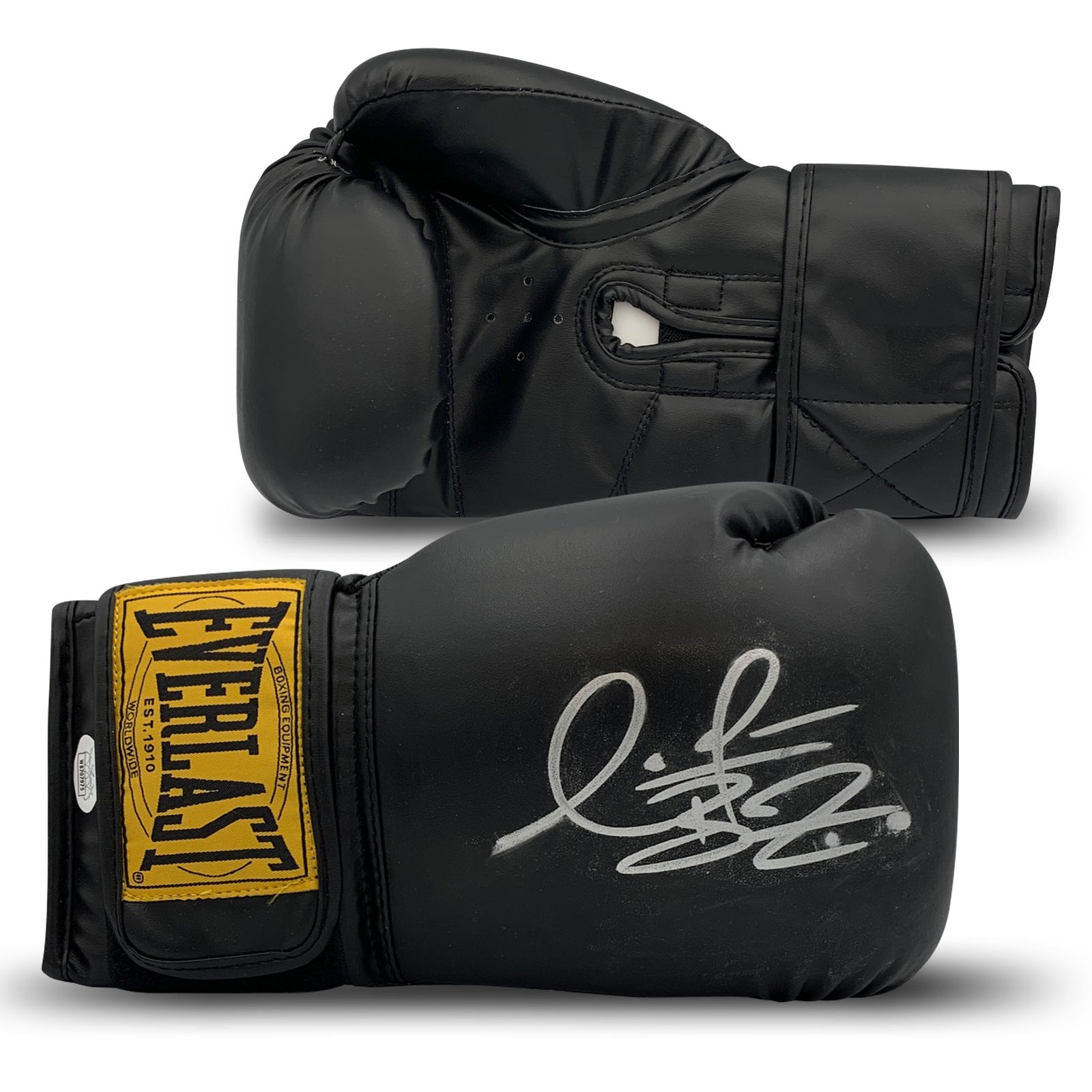 Autographed Signed Boxing Gloves